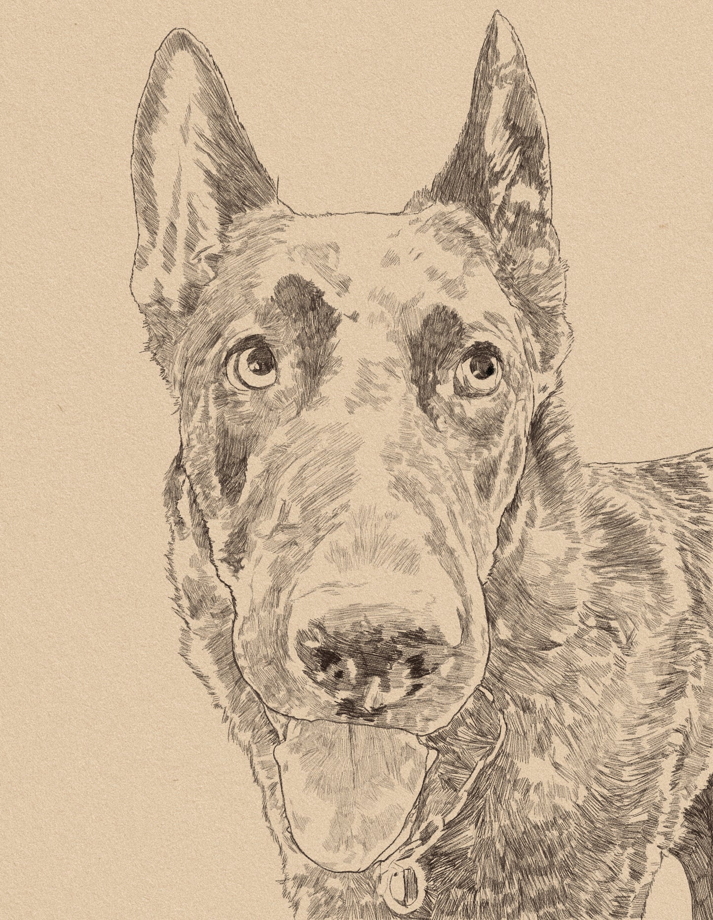 Custom Black and White Dog Portrait