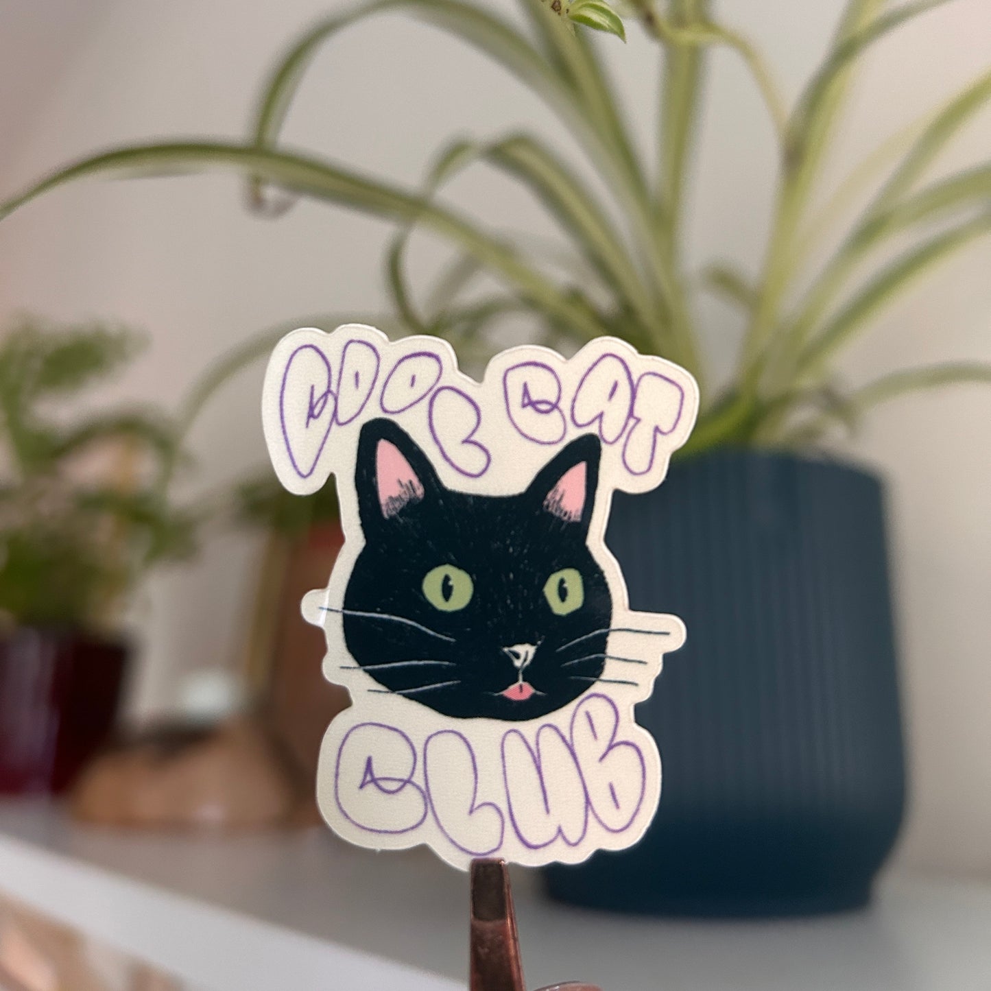 Cool Cat Club Sticker