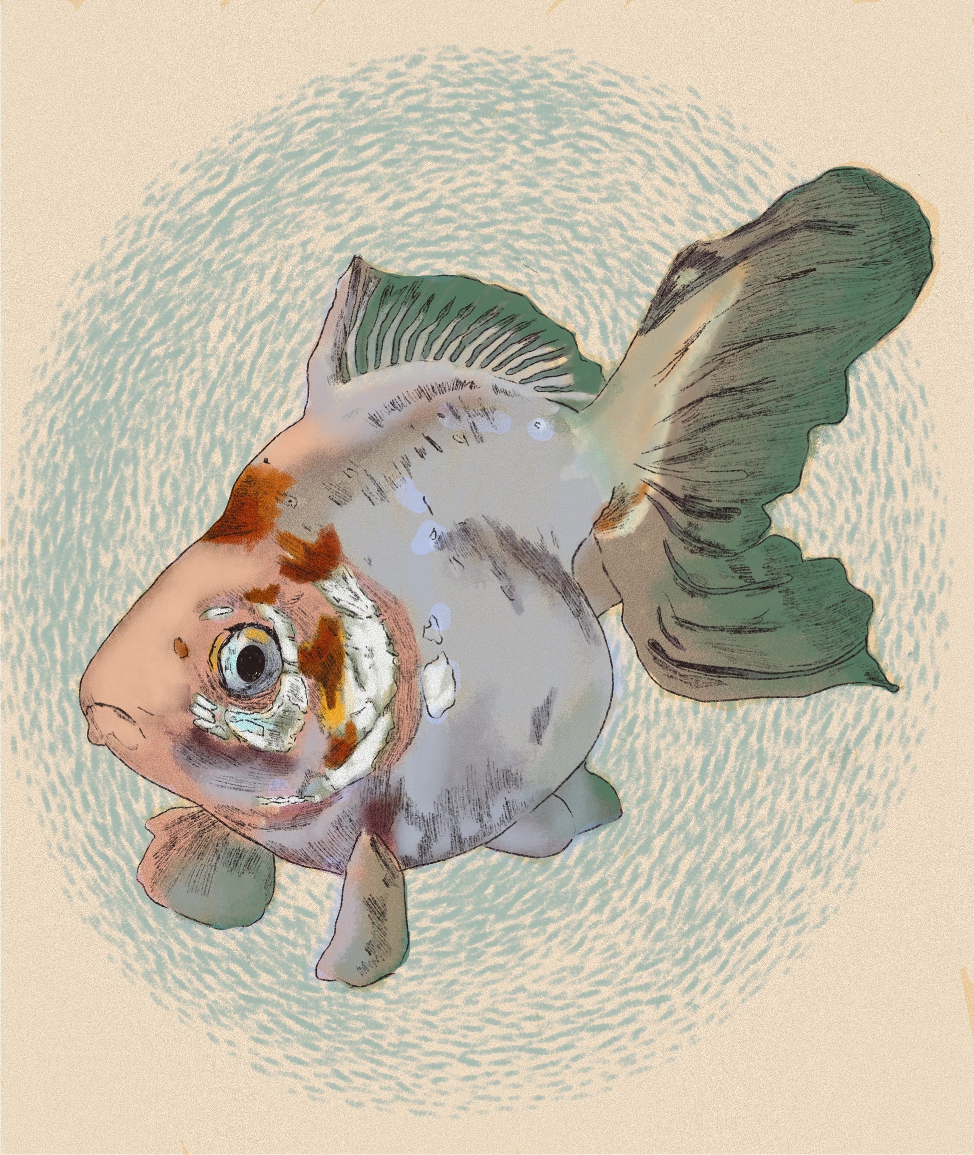 Custom Colour Fish Portrait 