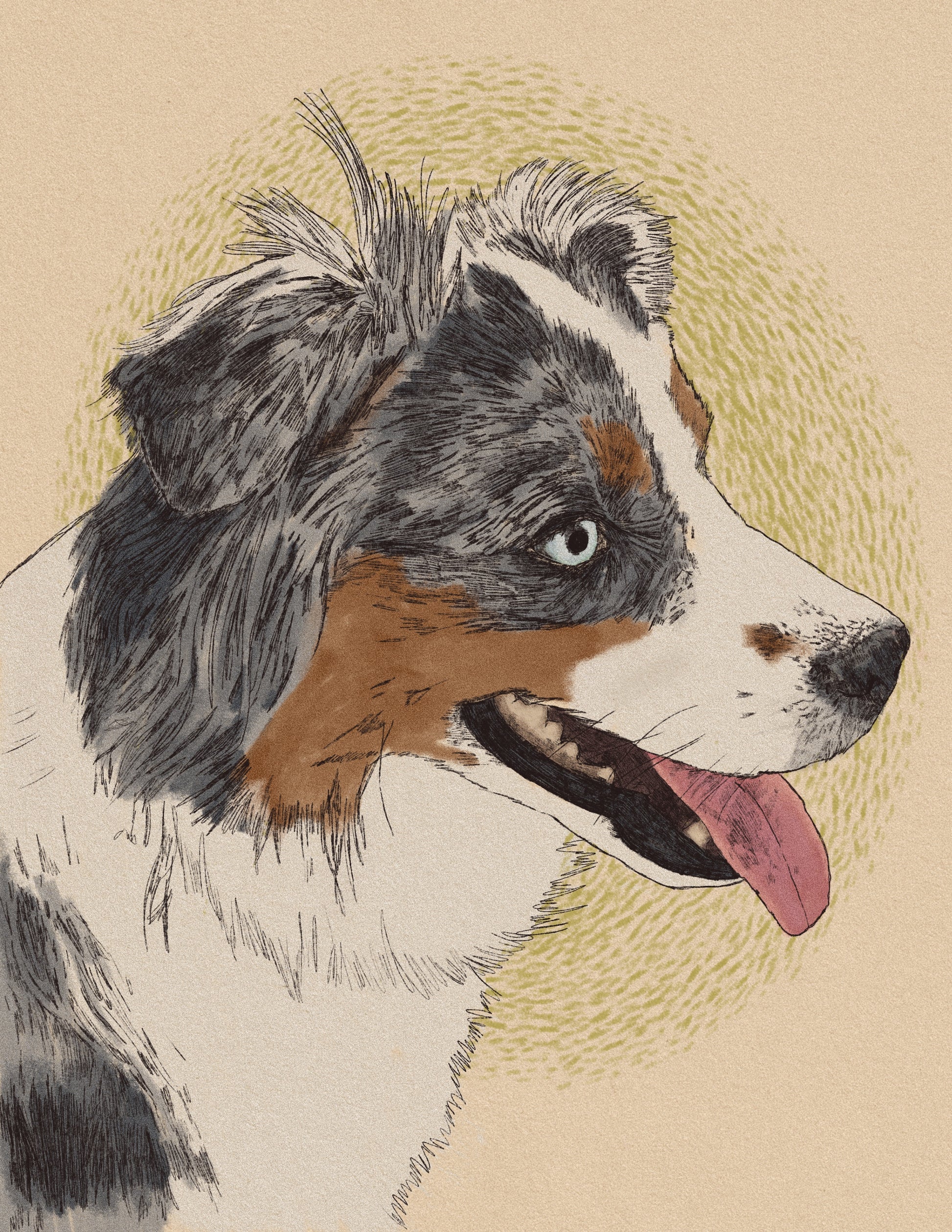 Custom Colour Dog Portrait